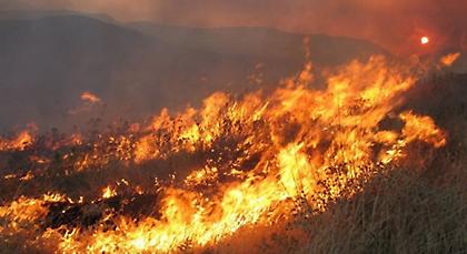 Προς κατοικημένες περιοχές κατευθύνεται η φωτιά στην Ερμιόνη