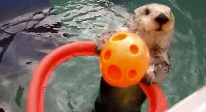 Ο Μπλέικ Γκρίφιν του νερού