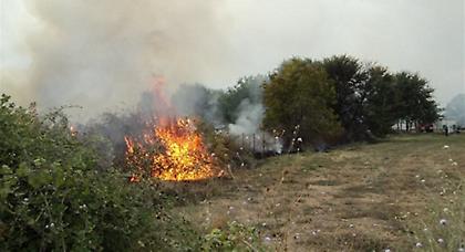 Υπό μερικό έλεγχο η φωτιά στην περιοχή Μετόχι Καπανδριτίου