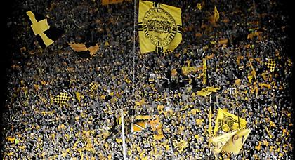 Στον κινηματογράφο το πιο «μαγικό» πέταλο του κόσμου