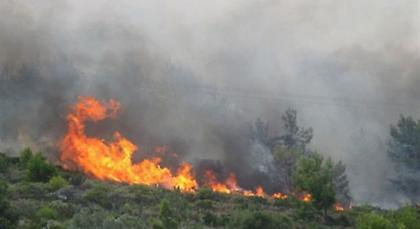 Πυρκαγιά σε δασική έκταση στην Κεφαλονιά