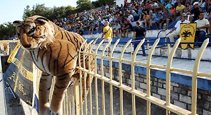 Ο… τίγρης δίπλα στην ΑΕΚ
