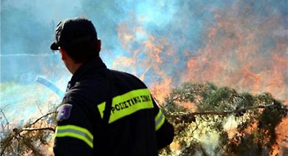 Κρήτη: Είκοσι εμπρησμούς ομολόγησε η 70χρονη που συνελήφθη στα Χανιά