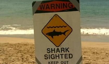 Υπέκυψε στα τραύματά της 20χρονη που είχε δεχθεί επίθεση καρχαρία