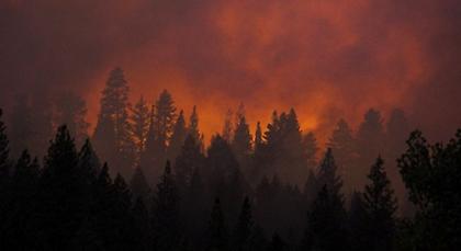 Σε πύρινο κλοιό η Καλιφόρνια