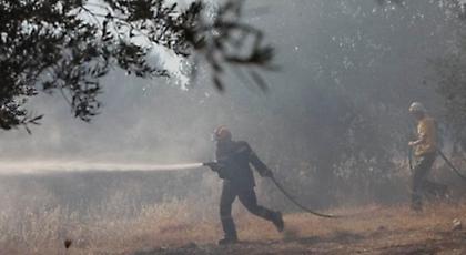 Σε ύφεση η πυρκαγιά στο Αλεποχώρι