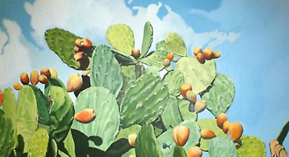 Η Αίγινα στον καμβά