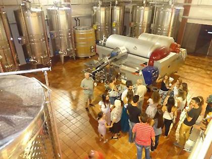 Με Τετράμυθο στα Οινοξένεια