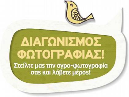 Διαγωνισμός φωτογραφίας με δώρο ταξίδι
