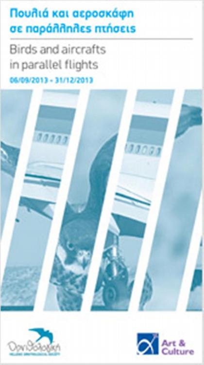 Πουλιά και αεροσκάφη σε παράλληλες πτήσεις
