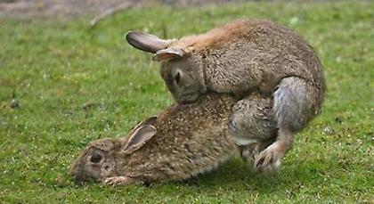 Ο… σόκιν αποχαιρετισμός της Lotus στον Κίμι