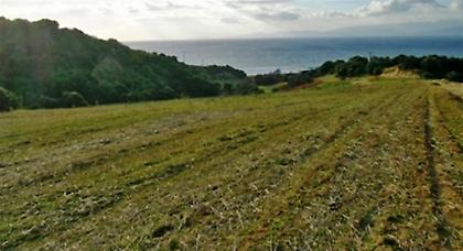 Φόρος-σοκ: Από 70 έως και 4.000 ευρώ το στρέμμα στα αγροτεμάχια