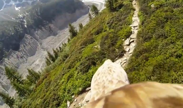 Δείτε τι βλέπει ο αετός όταν πετάει