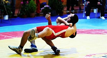 Παλεύουν για διάκριση...