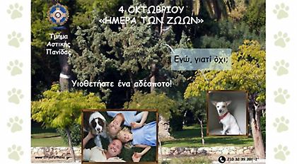 Παγκόσμια ημέρα των ζώων