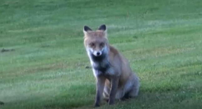 Αυτήν την κλέφτρα δεν θα την τιμωρήσει κανείς!