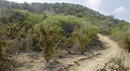 Τα ερωτηματικά που προκύπτουν από τον θάνατο του 31χρονου στη Γαύδο