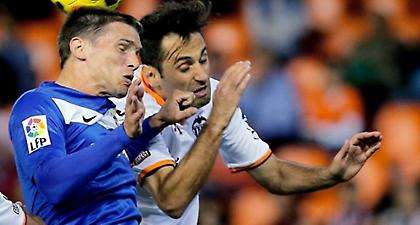 «Νυχτερίδες» κι αράχνες (video)