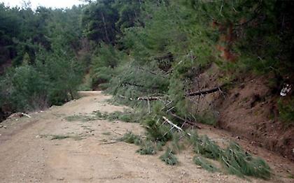 Εντοπίστηκαν τα οστά της 52χρονης σε βουνό των Σερρών