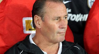 Αλέφαντος για Στέφενς…..