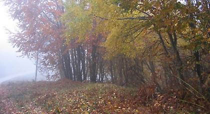 Πρόγνωση καιρού Παρασκευής, 15 Νοεμβρίου