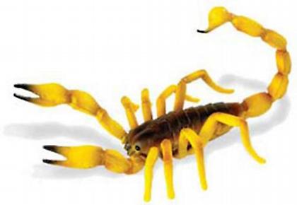 Kαταπολέμηση του καρκίνου με την βοήθεια του κίτρινου σκορπιού