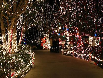 Χριστούγεννα στο… δάσος!