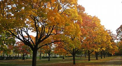 Πρόγνωση καιρού Τετάρτης, 27 Νοεμβρίου