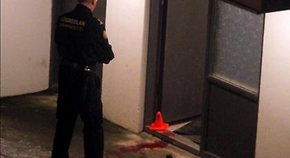 Ο πρώτος νεκρός από πυρά αστυνομικών στην ιστορία της Ισλανδίας