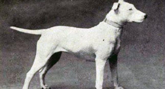 Πόσο άλλαξες...