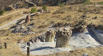 Λέσβος: Εντυπωσιακά νέα ευρήματα στο Απολιθωμένο Δάσος