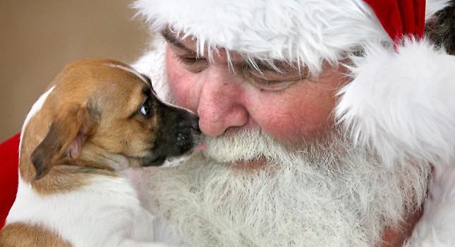 Όταν ο Αϊ Βασίλης κάνει δώρο ένα κουτάβι! (video)