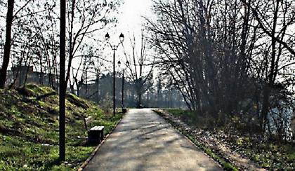 Δύο γαρύφαλλα για την κυρία Λάρισα