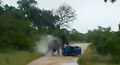 Ελέφαντας αναποδογύρισε αυτοκίνητο