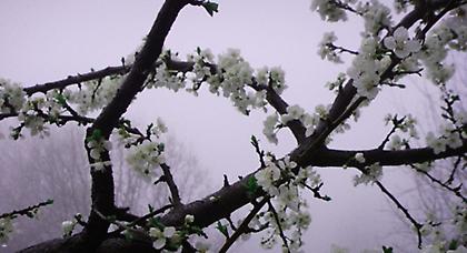 Πρόγνωση καιρού Πέμπτης, 6 Φεβρουαρίου