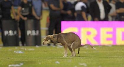 Κακά… μαντάτα (video)