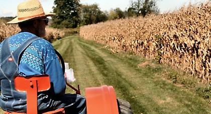 Υποψήφιος Δήμαρχος χαρίζει δωρεάν γη σε νέους αγρότες