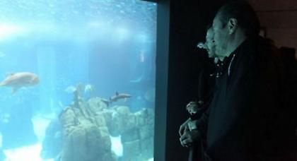 Στους καρχαρίες ο ΠΑΟΚ! (pic, video)