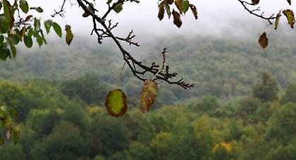Πρόγνωση καιρού Παρασκευής, 7 Μαρτίου