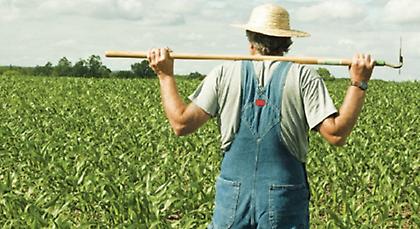 ΥΠΟΙΚ: Διευκρινίσεις για αγρότες που απαλλάσσονται από τήρηση βιβλίων