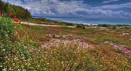 Πρόγνωση καιρού Πέμπτης, 13 Μαρτίου