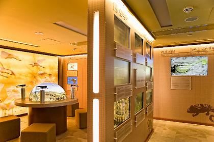 Γνωρίζω και προβάλλω τη φύση και την ιστορία της Μεσσηνίας