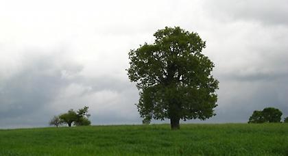 Πρόγνωση καιρού Πέμπτης, 27 Μαρτίου