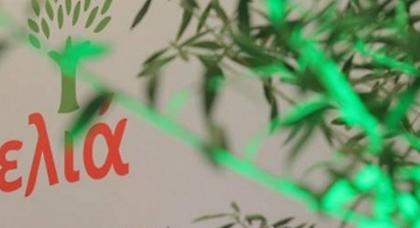 Αυτή είναι η λίστα της «Ελιάς» για τις ευρωεκλογές - Όλα τα ονόματα