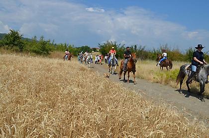 Πράσινες πολιτιστικές διαδρομές με ελεύθερη είσοδο σε 29 Νομούς