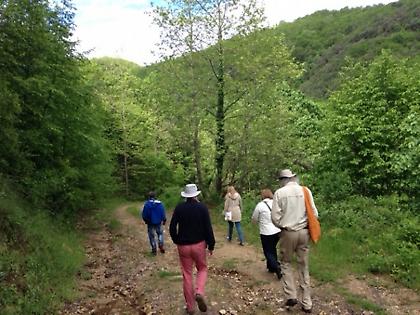 Από τα μονοπάτια του Αριστοτέλη στις διαδρομές του Βυζαντίου