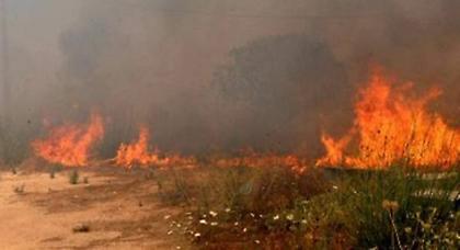 Πυρκαγιά στο Λουτράκι