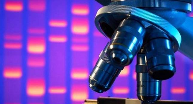 Ανακαλύφθηκε το γονίδιο της εξυπνάδας