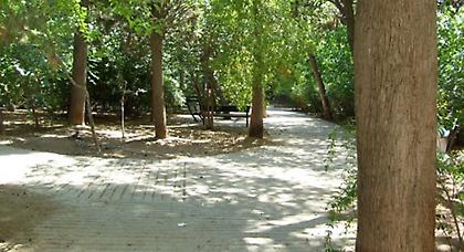 Σοκ στο άλσος Παγκρατίου! Άνδρας βρέθηκε κρεμασμένος σε ένα δέντρο!