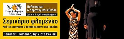 Σεμινάριο φλαμένκο με την Γιώτα Πεκλάρη στο Κτήμα Δαλάμπελος